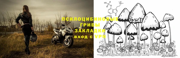 гашик Лихославль