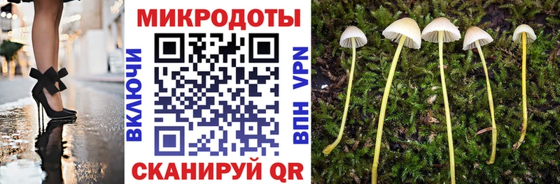 Купить закладки  Корсаков  Псилоцибиновые грибы мухоморы 